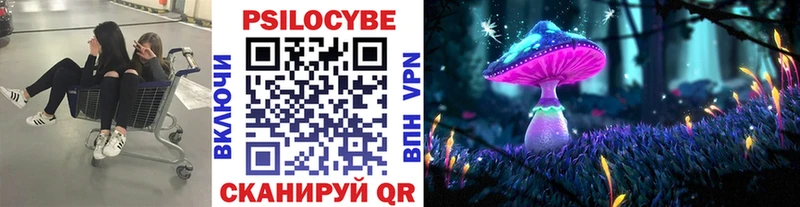 Купить где  Моршанск  Галлюциногенные грибы Magic Shrooms 